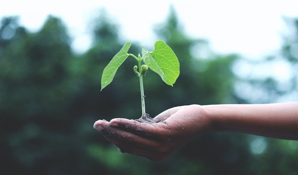 Waltero on sustainability